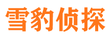 沙湾捉小三公司